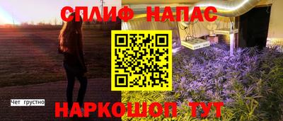 PSILOCYBIN Нальчик
