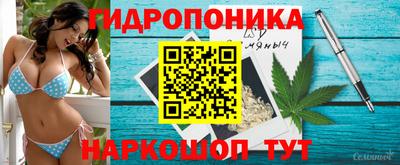 a pvp Моздок