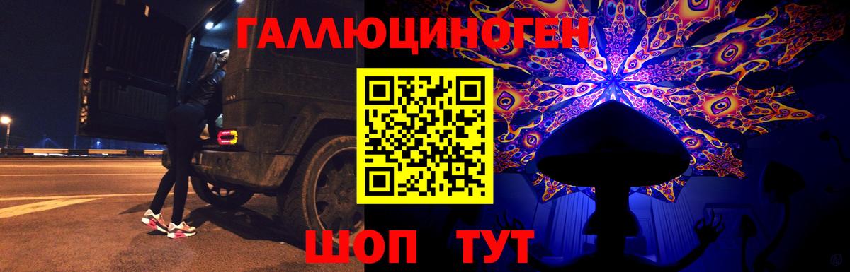 Галлюциногенные грибы прущие грибы  Вход с VPN  Топки  Псилоцибиновые грибы GOLDEN TEACHER 